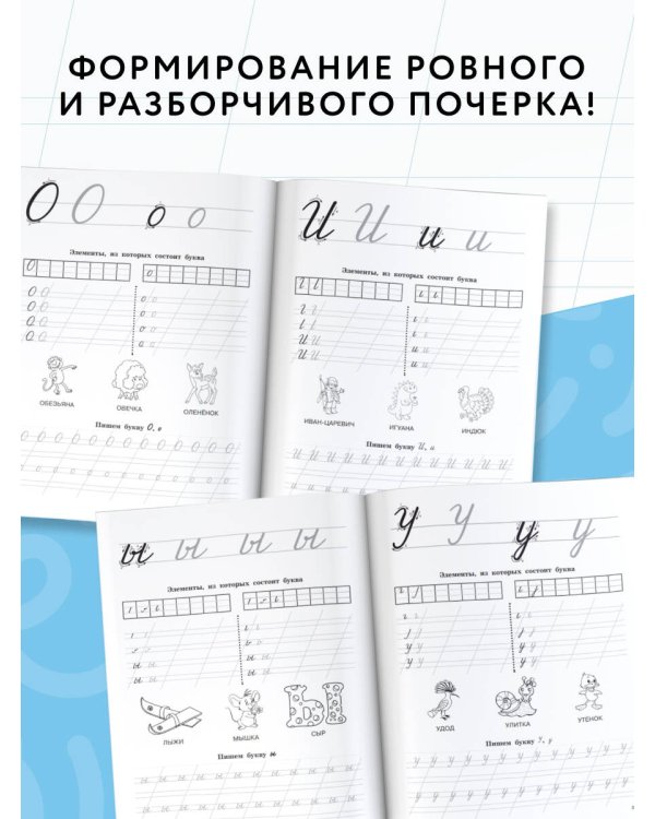 Прописные буквы: первые прописи