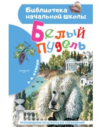 Белый пудель