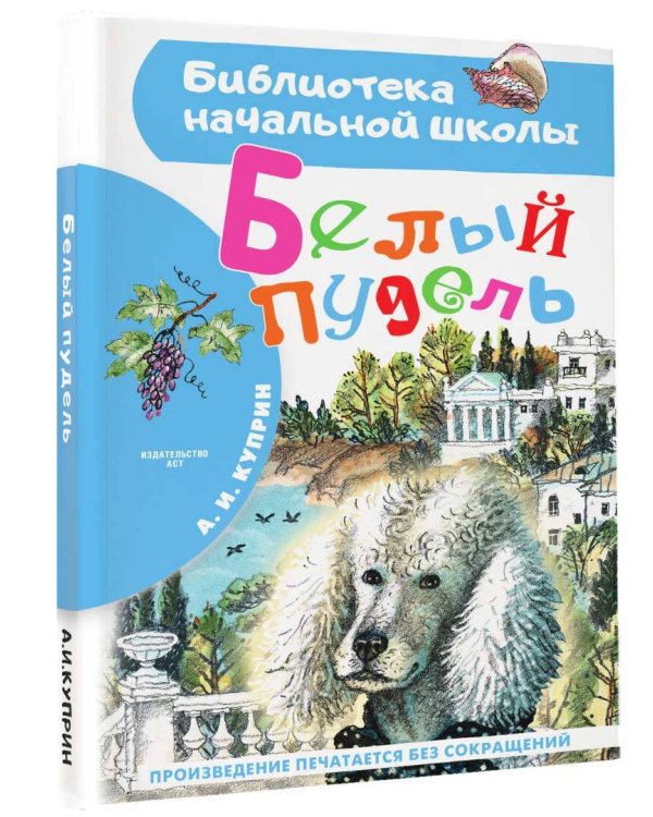 Белый пудель