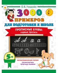 Прописные буквы: первые прописи