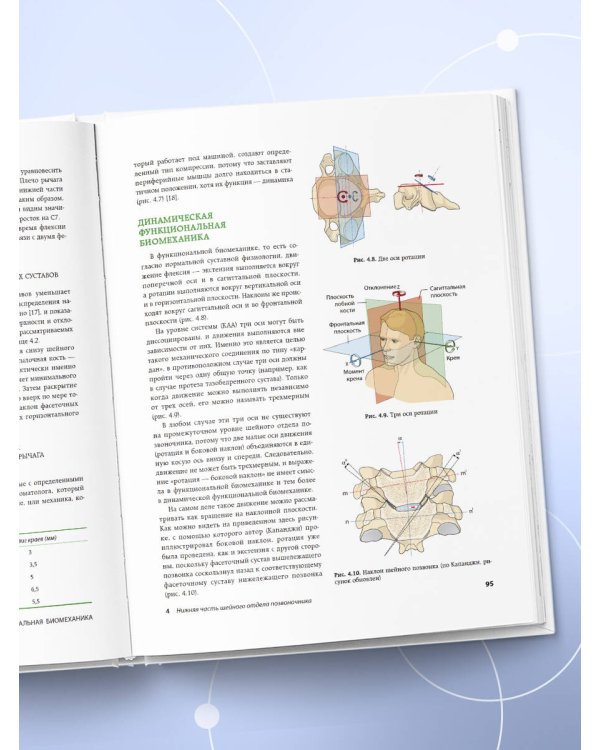 Динамическая функциональная биомеханика. Остеопатическое лечение шейного и грудного отдела позвоночника