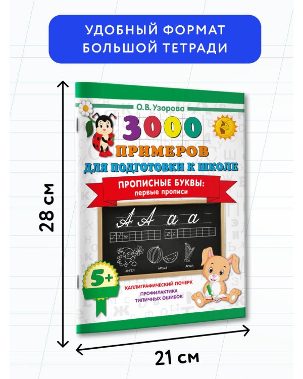 Прописные буквы: первые прописи
