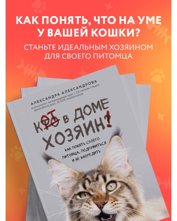Кот в доме хозяин! Как понять своего питомца, подружиться и не навредить (новое оформление)