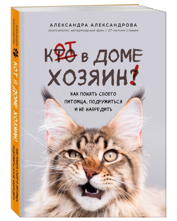Кот в доме хозяин! Как понять своего питомца, подружиться и не навредить (новое оформление)