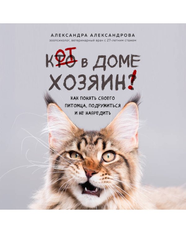 Кот в доме хозяин! Как понять своего питомца, подружиться и не навредить (новое оформление)