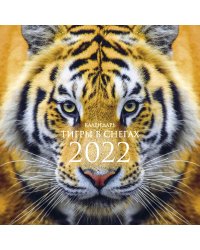 Тигры в снегах. Календарь настенный на 2022 год (300х300 мм)