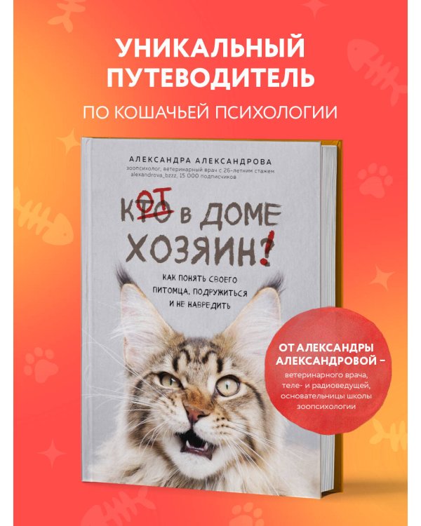 Кот в доме хозяин! Как понять своего питомца, подружиться и не навредить (новое оформление)