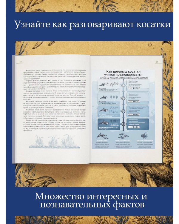 Дополнительное изображение книги «Киты. Неизведанный разум. История эволюции и новейшие исследования интеллекта морских гигантов»