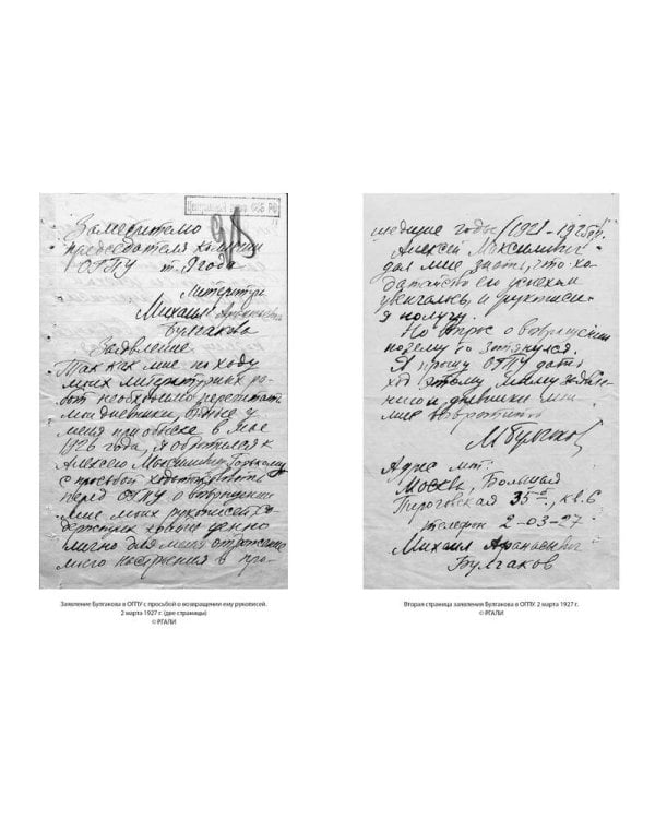 Мне нужно видеть свет... Дневники, письма, документы