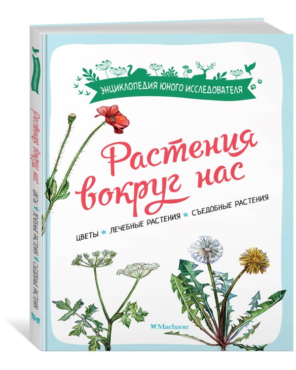 Растения вокруг нас