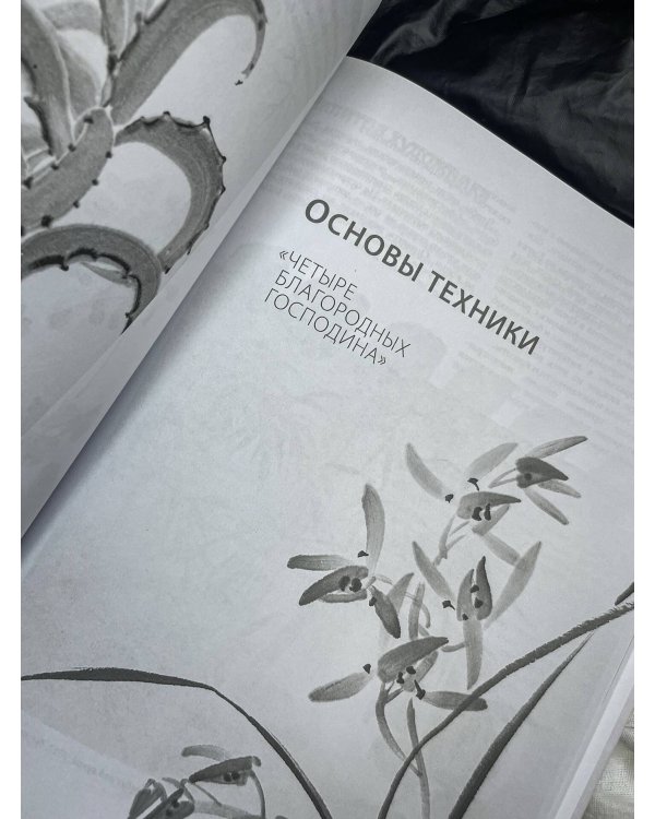 Основы японской живописи суми-э