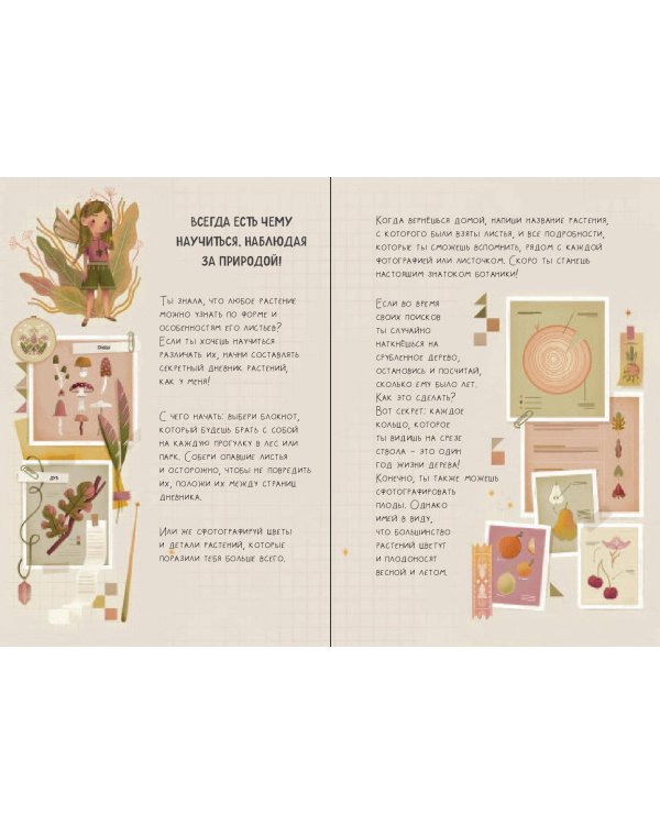 Волшебный подарок Феи