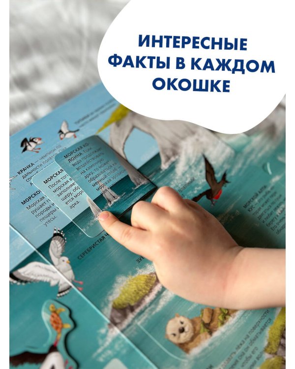 Все тайны подводного мира
