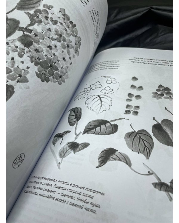 Основы японской живописи суми-э