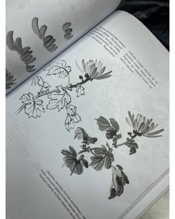 Основы японской живописи суми-э