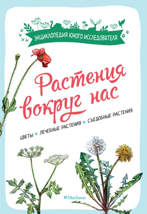 Растения вокруг нас