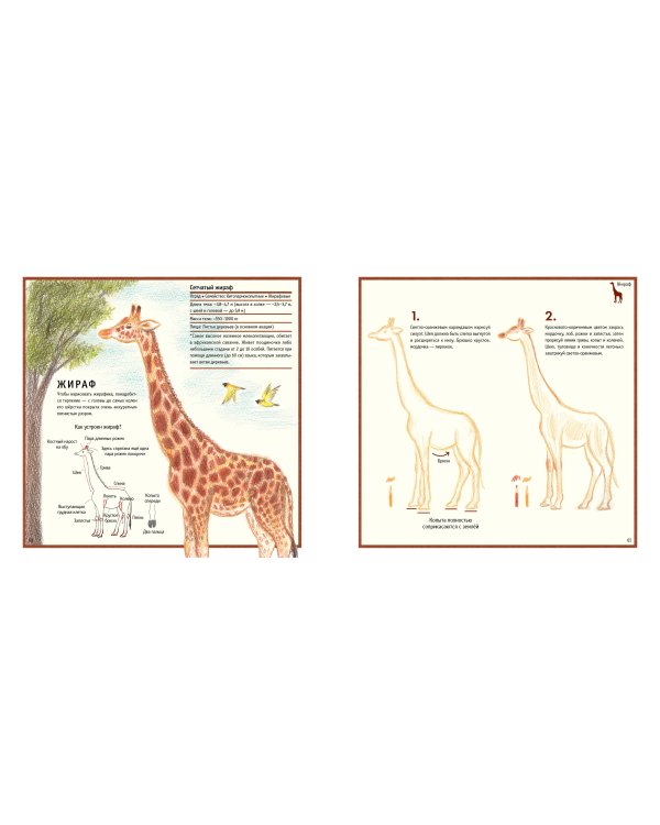 Рисуем милых животных