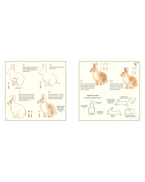 Рисуем милых животных