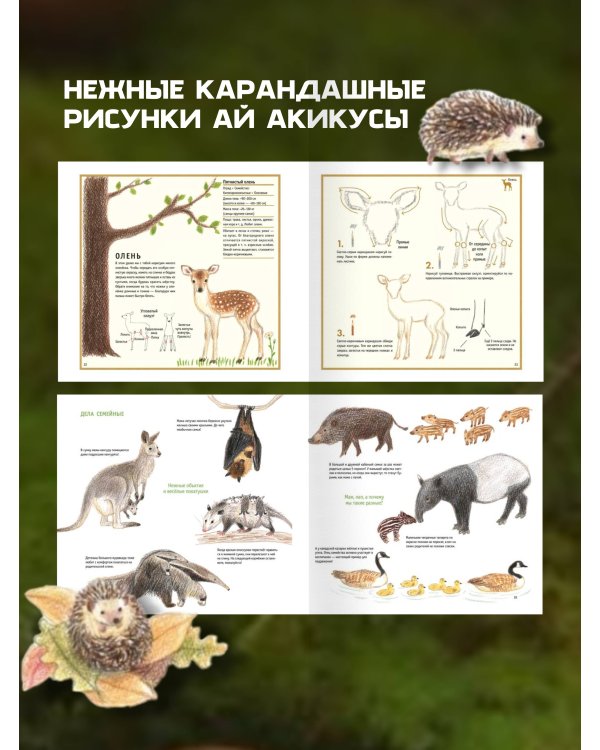 Рисуем милых животных