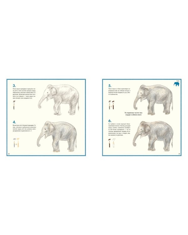 Рисуем милых животных