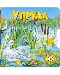 У пруда