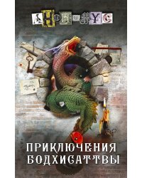 Приключения бодхисаттвы