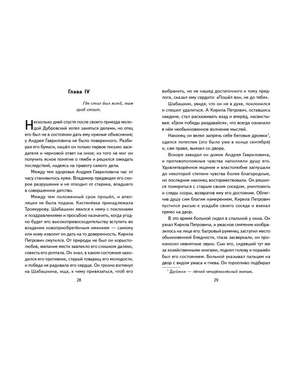 Дубровский (ил. Е. Комраковой)