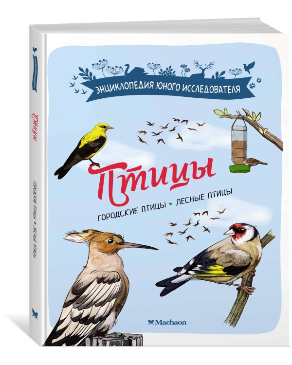 Птицы