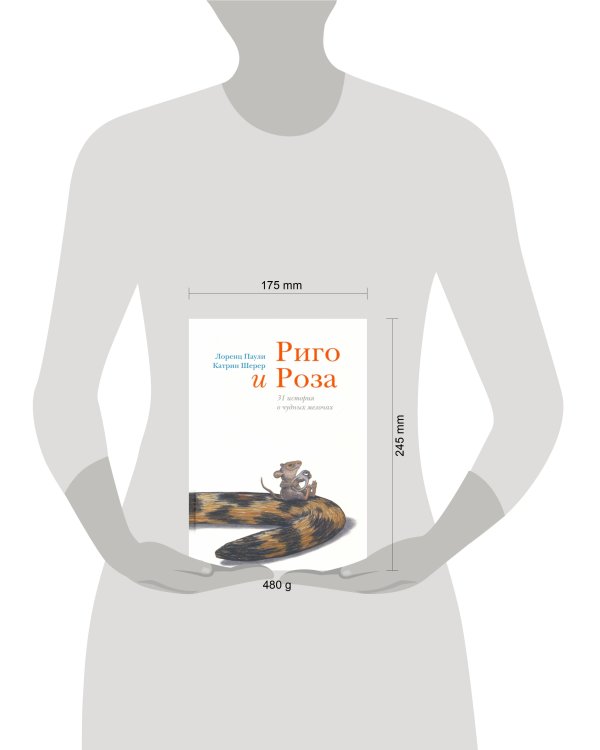 Риго и Роза. 31 история о чудных мелочах