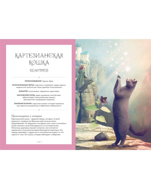 Дополнительное изображение книги «Кошки. Удивительные породы и их секреты»