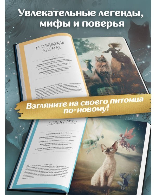 Дополнительное изображение книги «Кошки. Удивительные породы и их секреты»