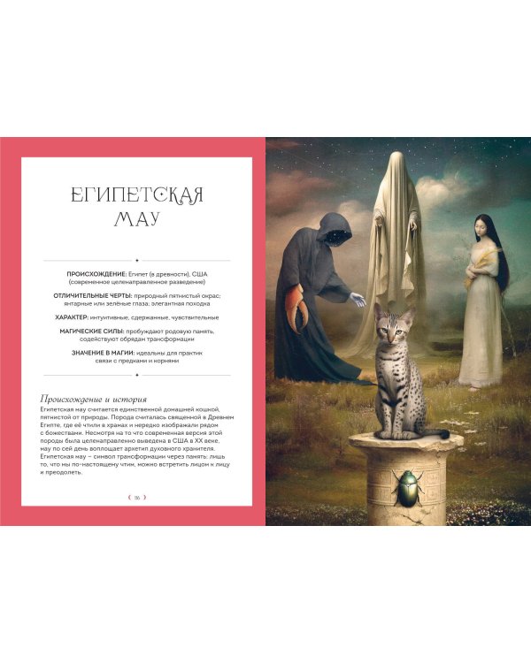 Дополнительное изображение книги «Кошки. Удивительные породы и их секреты»