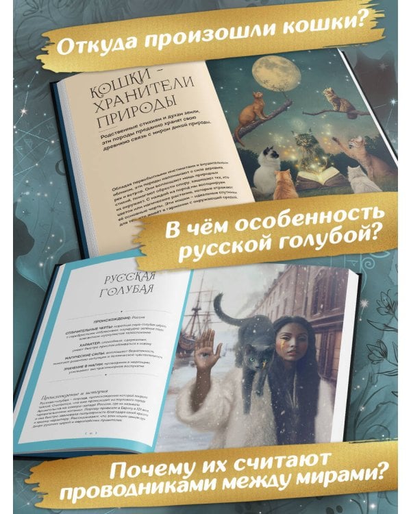 Дополнительное изображение книги «Кошки. Удивительные породы и их секреты»
