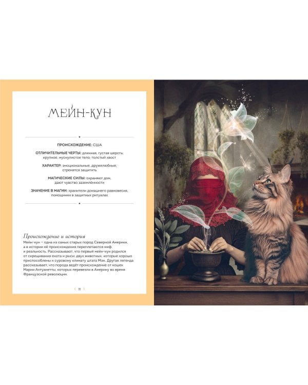 Дополнительное изображение книги «Кошки. Удивительные породы и их секреты»