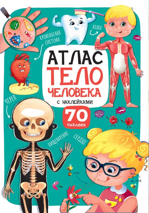 Атлас. Тело человека