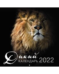 Дикий календарь. Календарь настенный на 2022 год (300x300 мм)