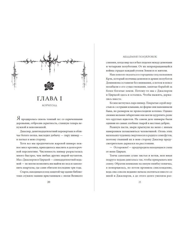 Дополнительное изображение книги «Академия полукровок. Магические испытания (#1)»