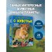 Большая книга о животных. 1001 фотография