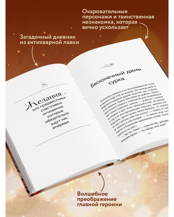Дневник из антикварной лавки. Всегда есть шанс переписать свою жизнь