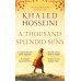 A thousand splendid suns (Khaled Hosseini) Тысяча сияющих солнц (Халлед Хоссейни) /Книги на английском языке