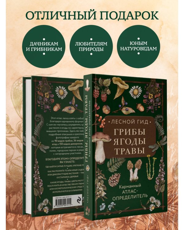 Дополнительное изображение книги «Лесной гид: грибы, ягоды, травы. Карманный атлас-определитель»