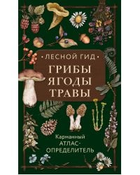 Лесной гид: грибы, ягоды, травы. Карманный атлас-определитель