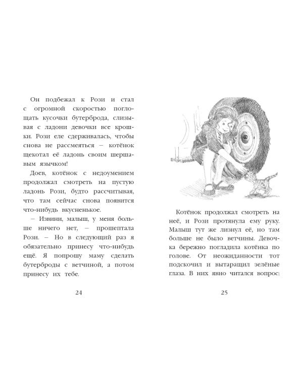 Котёнок Рыжик, или Как найти сокровище