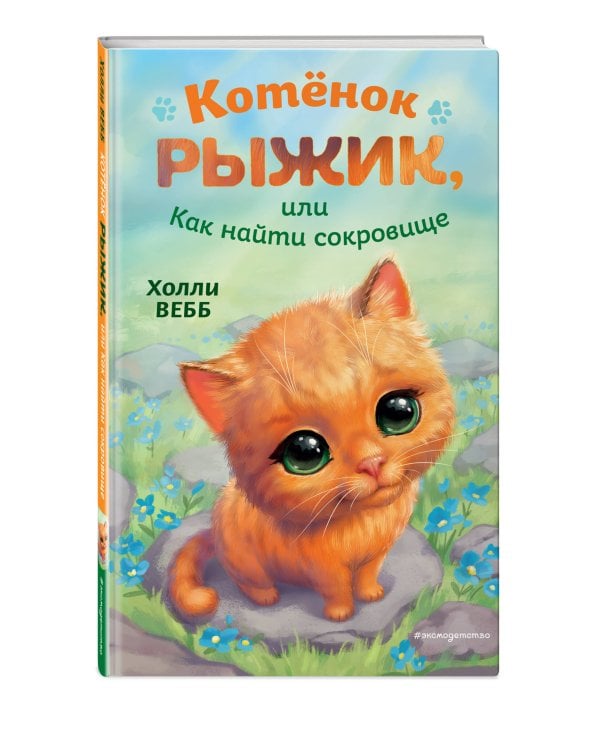 Котёнок Рыжик, или Как найти сокровище