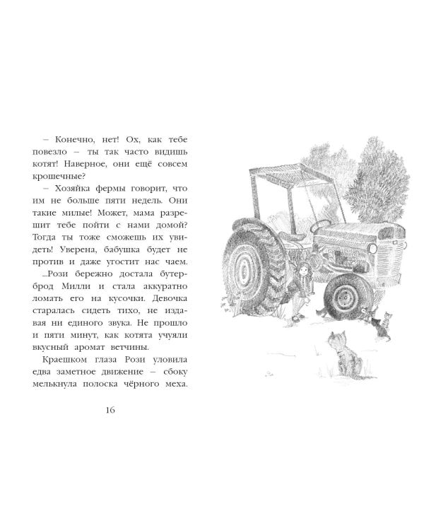 Котёнок Рыжик, или Как найти сокровище