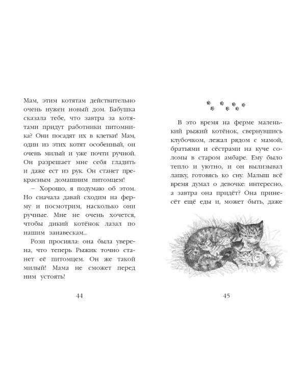 Котёнок Рыжик, или Как найти сокровище