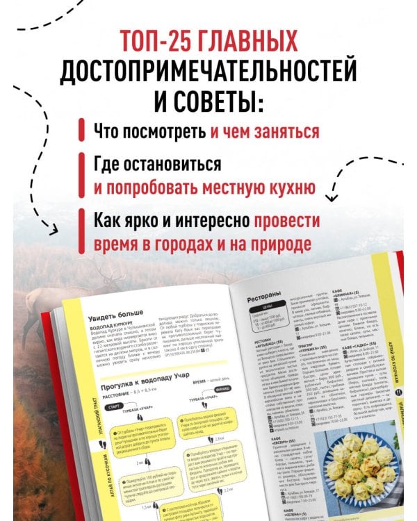 Алтай и Алтайский край. 2-е изд., испр. и доп.