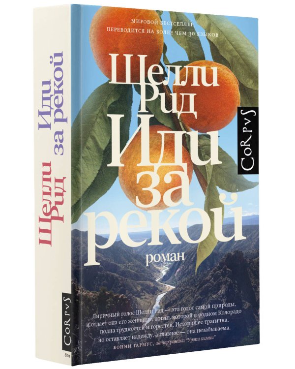 Иди за рекой