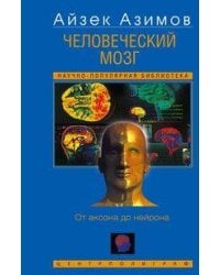 Человеческий мозг. От аксона до нейрона