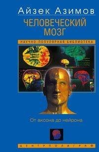 Человеческий мозг. От аксона до нейрона